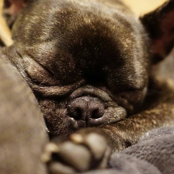 26fc41a5 7841 4f41 b308 23801599f074 1523714350577