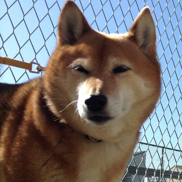 26fc49a9 dfdd 40cb 8d13 3594ac1d8d2a 1552870047992