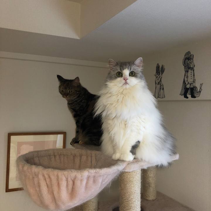 26fc4cb4 1bf5 490d b3d3 29c78ffd3942 1634015518803