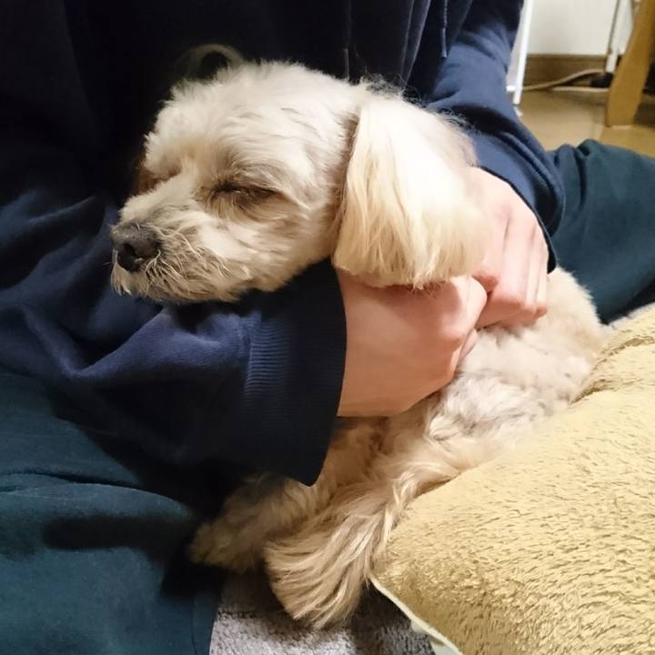 26fc5f8e 2d37 45e6 a8de 21d7d1774397 1607342222080