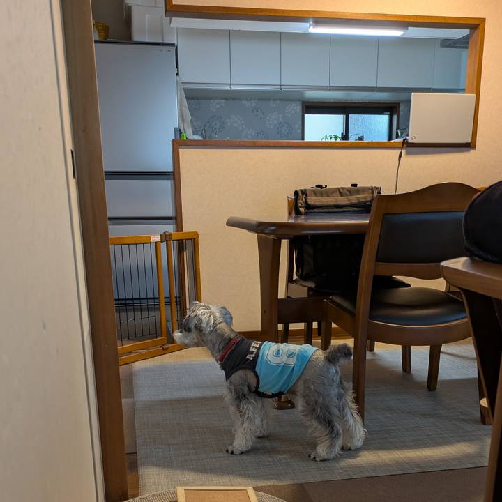 26fc6165 a7d3 4b7d b12e bf82bd57253f 1749873487743