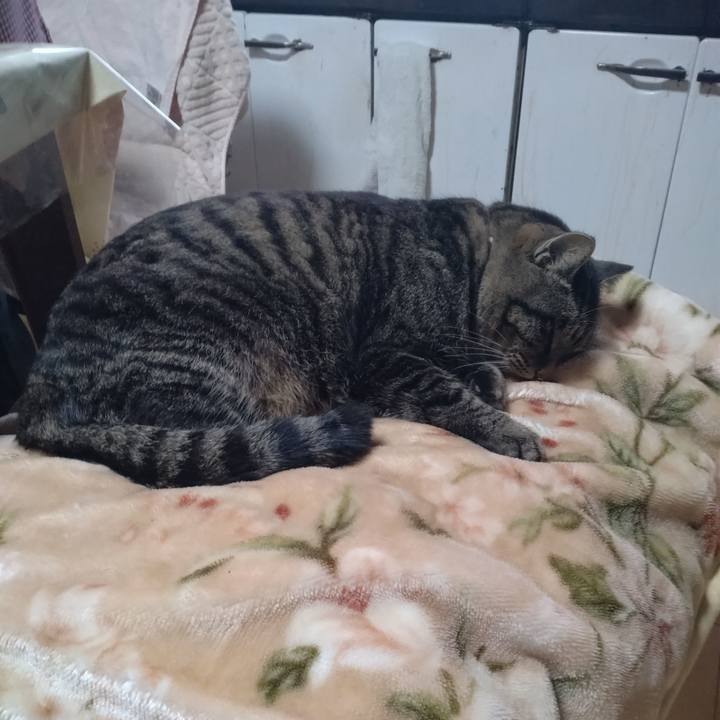 26fcc65e d8d2 477c abfa 463878a36cd0 1673666975243