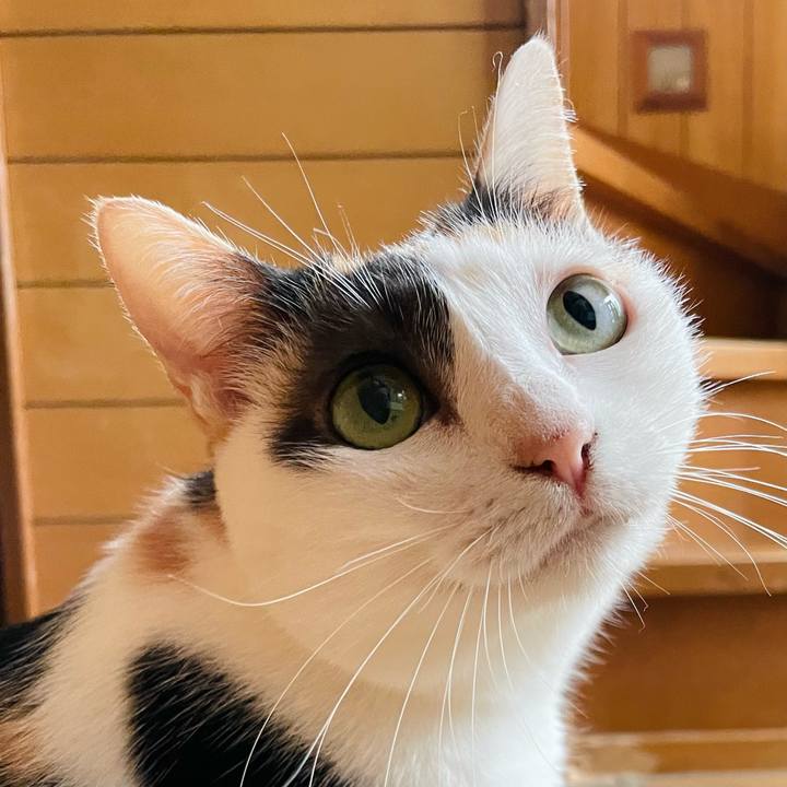 26fcd6ad 51c5 47f3 a75c 71faf5f93e94 1634001449160