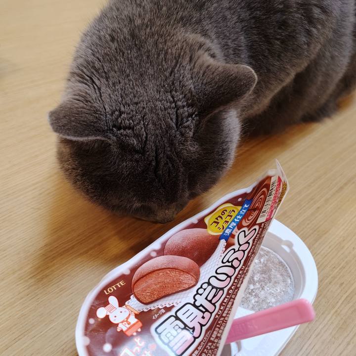 26fd1343 a966 4714 8096 f6a240fcd16d 1773405083530