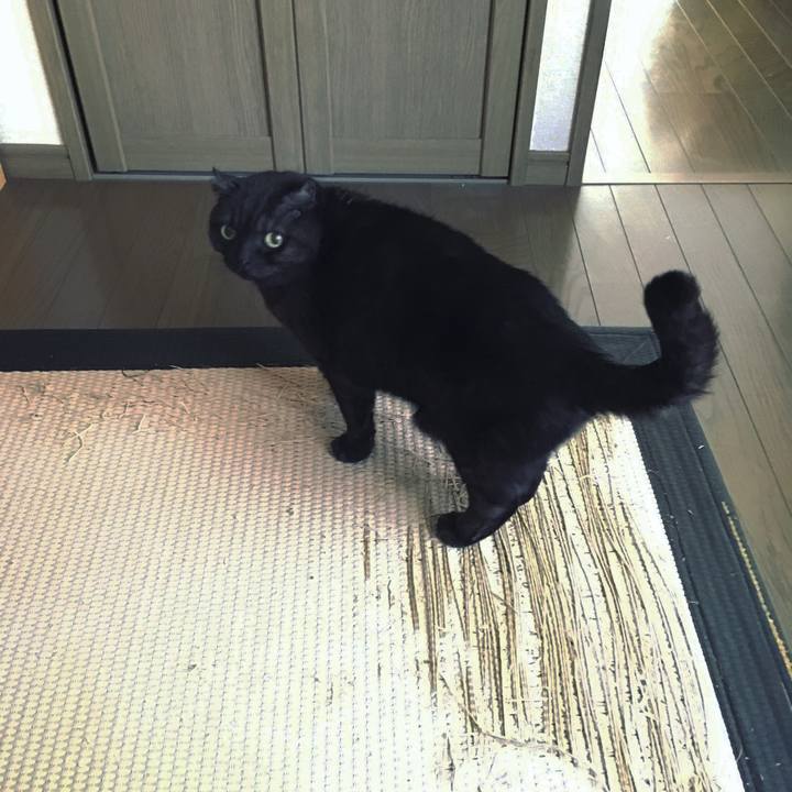 26fd214d ad19 4b8d 95b8 4fd9397ce5a7 1518305208080