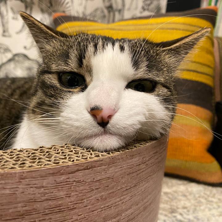 26fd5095 3ea7 41a8 a8bf f99d33571c22 1647178744969