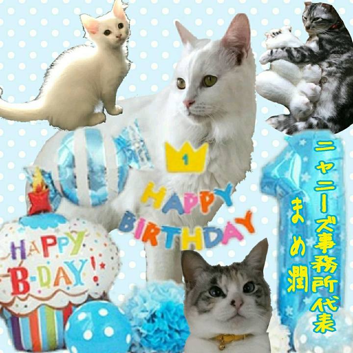 26fd8508 d9e7 44ef a754 5136d438f099 1531342498935