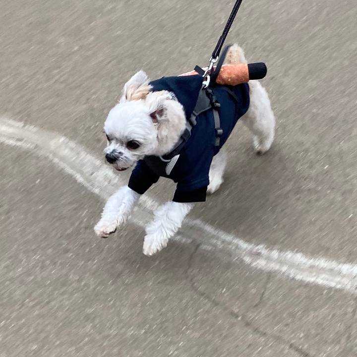 26fd8c90 acd6 481d b096 a3fb18fa9ab3 1570840498654