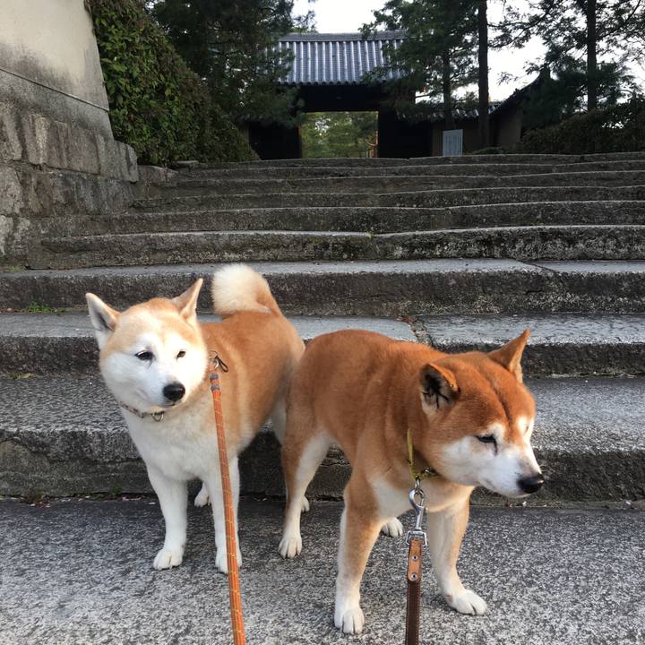 26fd9423 e54f 48dc bc75 d969a78a28a3 1522636744729