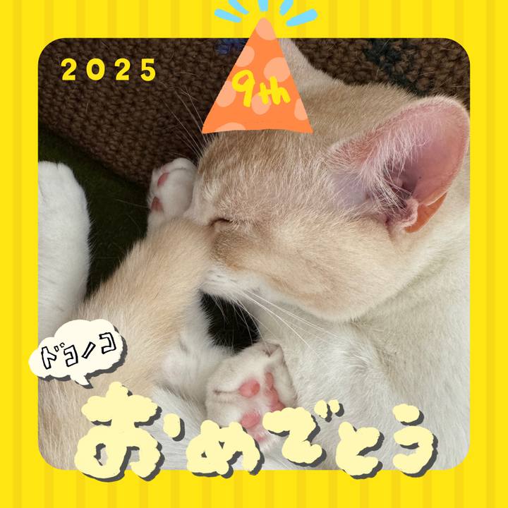 26fd9ea0 7511 4a36 b73e feca0756ec88 1749261848040