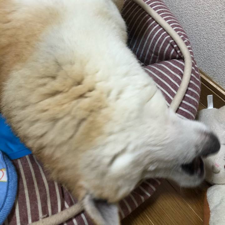 26fd9f9b 8c88 4671 aab8 fc8d0362888c 1593946313030