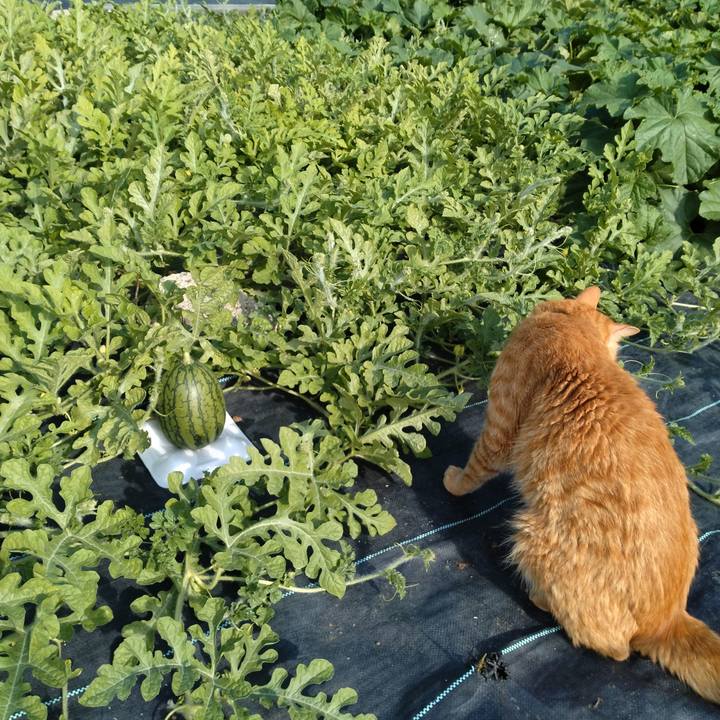 26fdaaac fbd3 4c63 8065 28ecfb647f5d 1720174072815