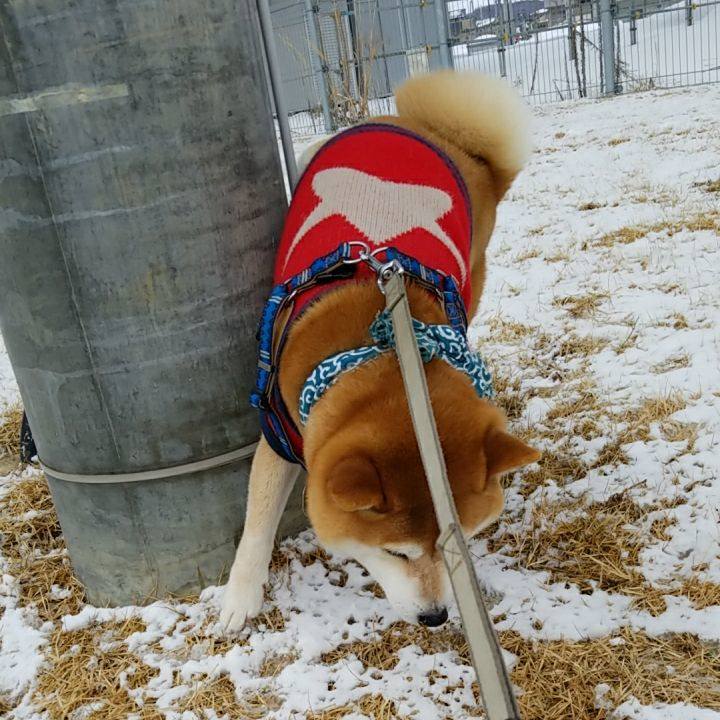 26fde77e bed9 46ac b241 b9f225e56fba 1518482675854