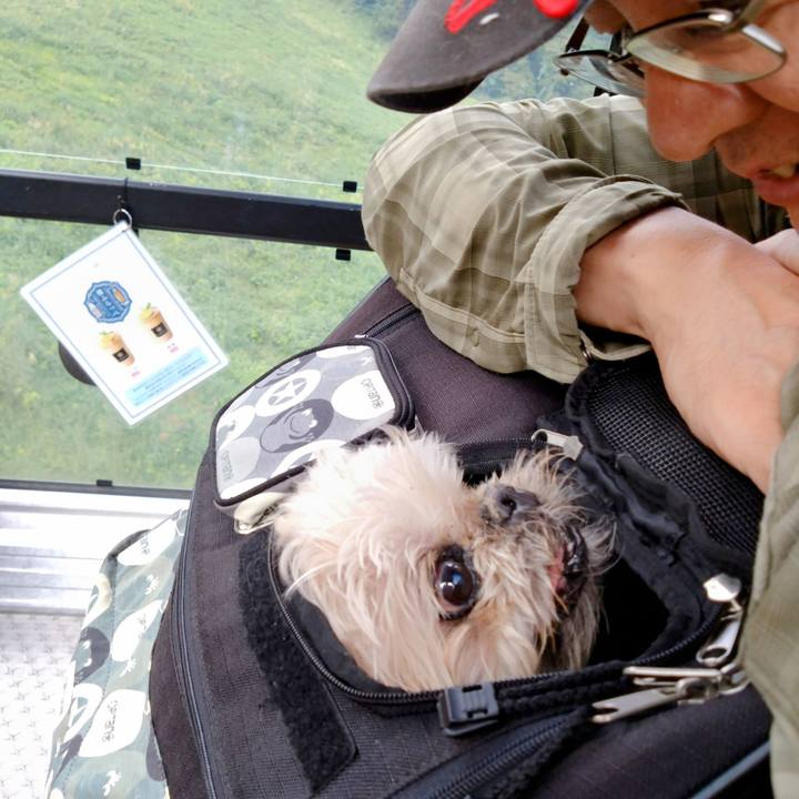 26fe3149 f4ef 4e95 aa4c 8851060846b3 1728226058355