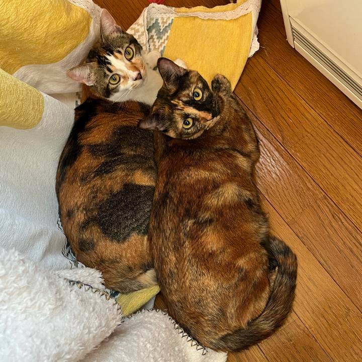 26fe40ad d8e0 4e0c 9bea 6c89994645f1 1700089451111