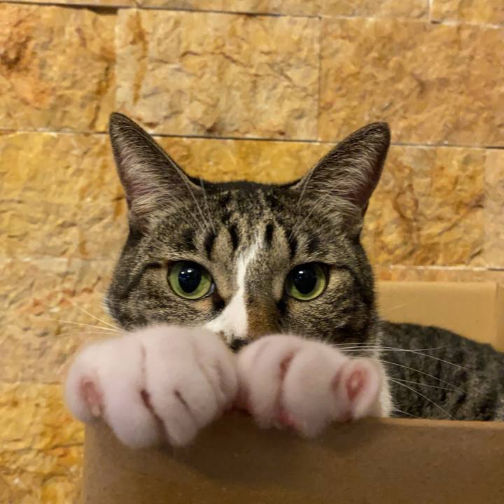 26fe8a0c e349 47ae 9c6d 0a025dee14a7 1756442379422