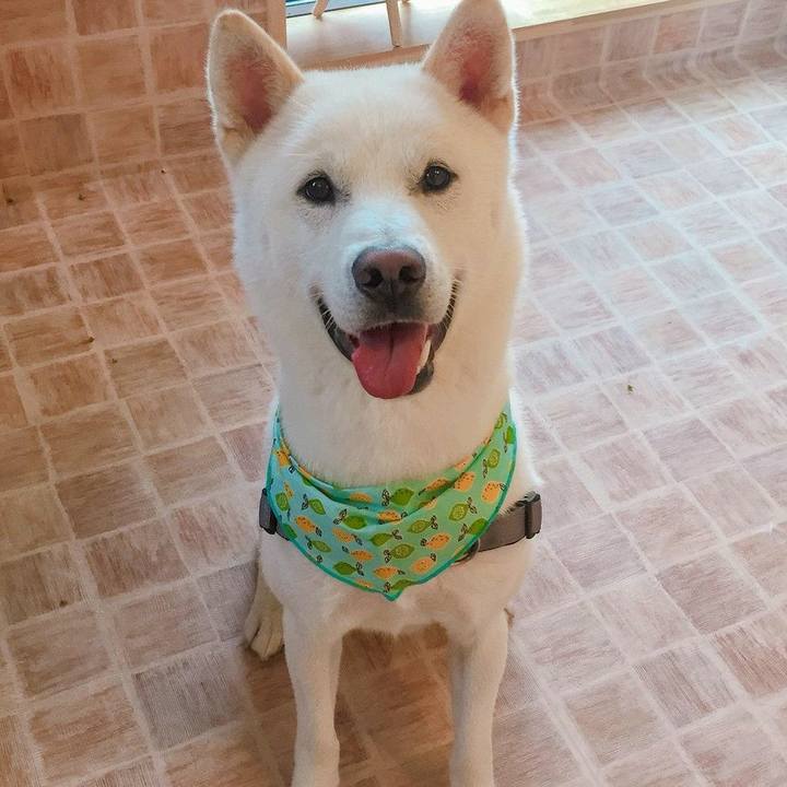 26fee377 c1af 4eaf 9161 ca3126cb58c4 1526509487859