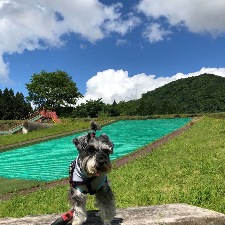 26feed79 0343 40a7 96d2 18e4cd1c3e03 1621755915028