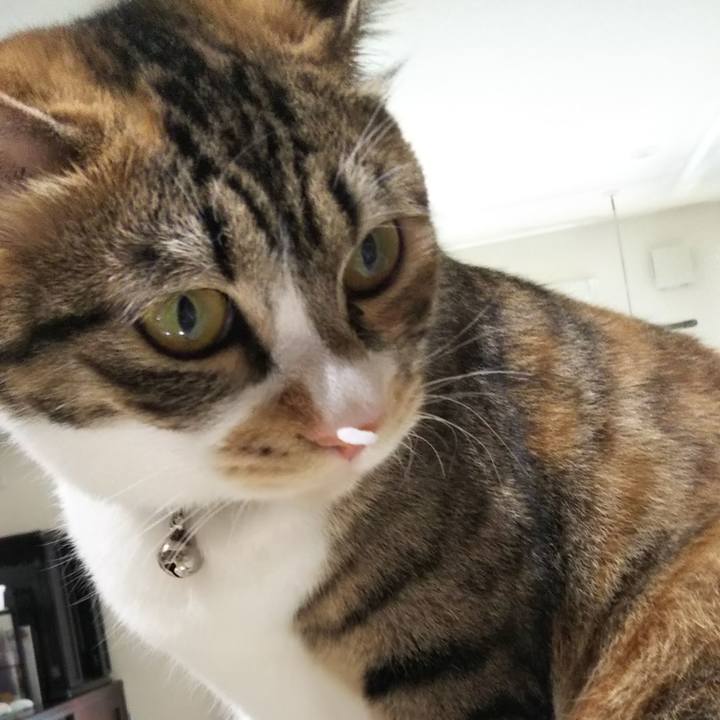 26fef69a 4811 439d b9ae cd7305988aa4 1652151662102