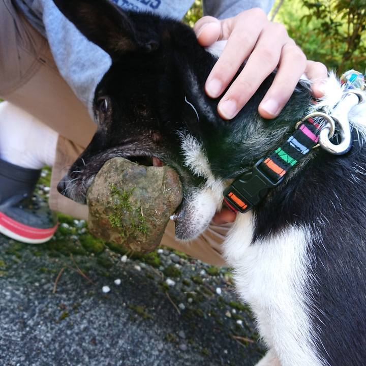 26ff0611 02d0 4f7a 8ff7 3cfbc0ac93cf 1557188390377