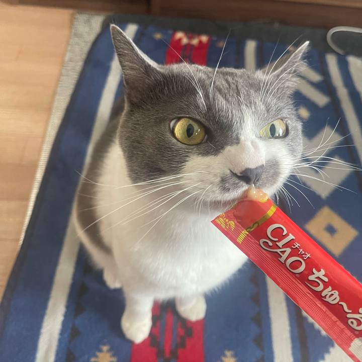 26ff085b c9c8 45d7 9136 8364741aeb93 1689403129264