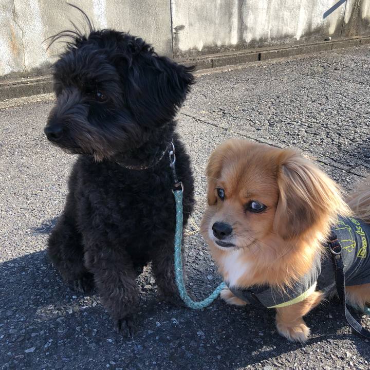 26ff2000 bfea 441a 8575 b32061888fc1 1515026063014