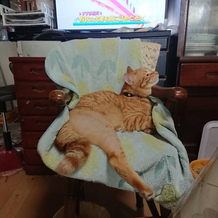 26ff6a3a 7cac 4ee4 a752 d4802b52d610 1657343868430