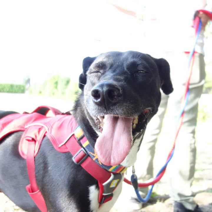 26ff9d61 2ce3 4576 89fa 1322142ac182 1591748601161