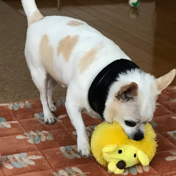 26ffcdf0 845a 4b82 a25e 1e2176f13f44 1555678463043