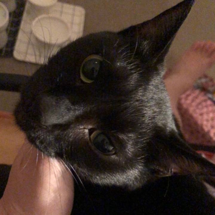 26ffcf08 53a9 43d8 927b 0f0576fd8b92 1680183703376