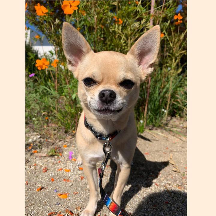 26ffd618 00ea 4484 aa09 b80ff9c97cef 1573370046513