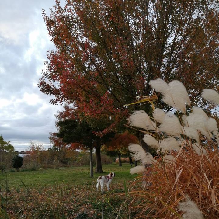 26ffd67b 4931 47f7 b3f5 b77c65a86170 1574669291837