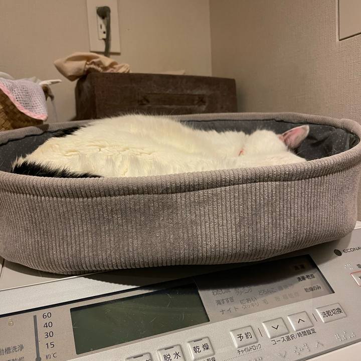 26fff946 2aed 44aa 9f8a 6d81534974d3 1765464858389