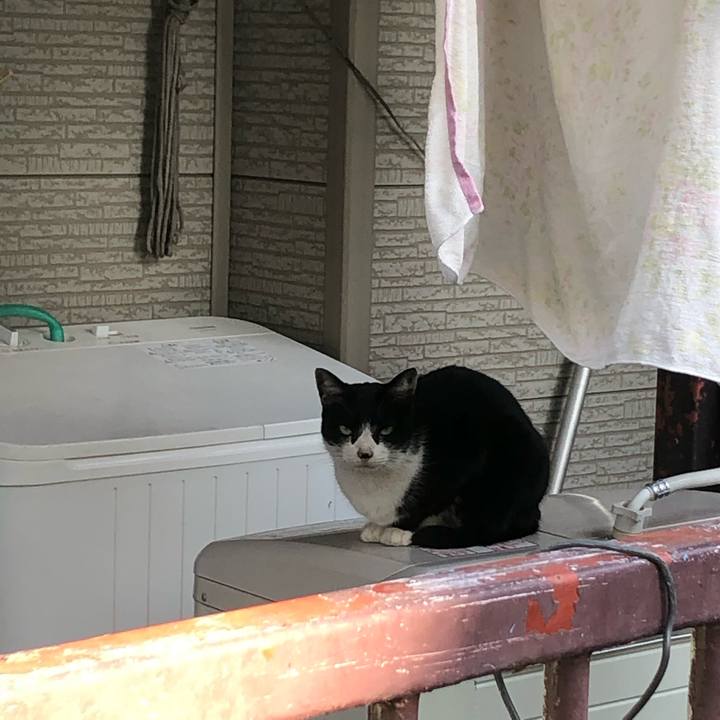 270027bf 20da 49c0 9342 545e5ab139f2 1583134937393