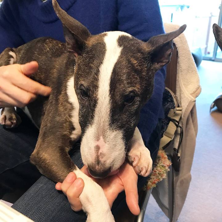 270043e0 d218 43f1 9014 516b9e2f5e19 1517040902579