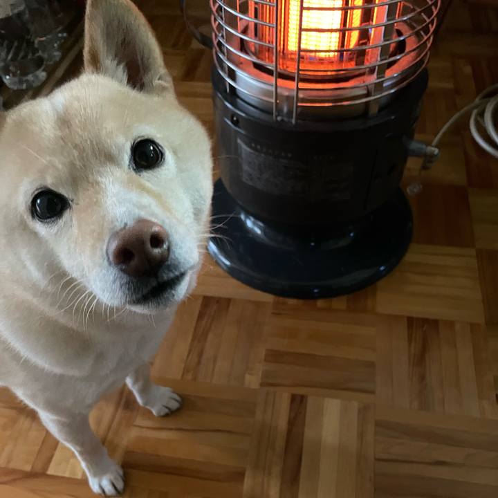 27005cbc 13e3 4594 bfe8 6eea84d3931c 1702895100551