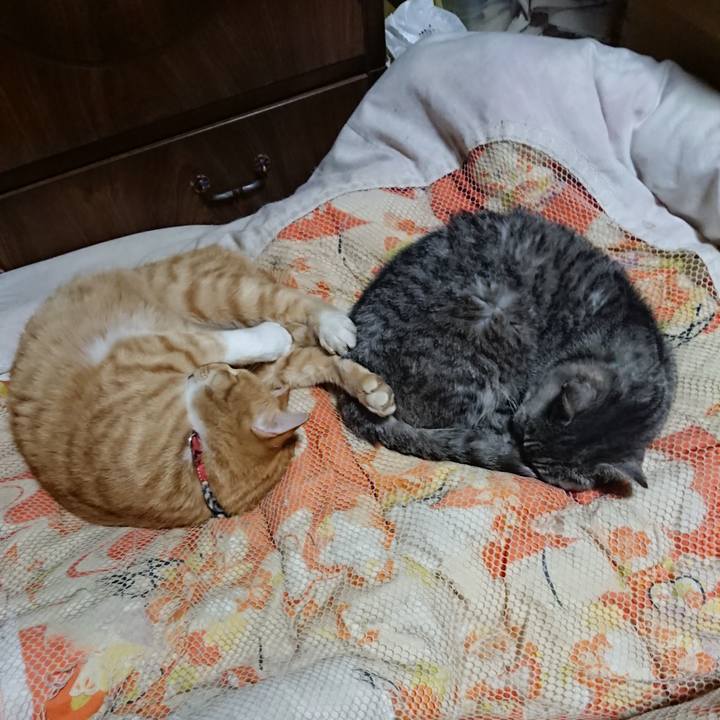 270060aa 7a1a 4a6b 80b5 dcf5aacd1059 1572616656523