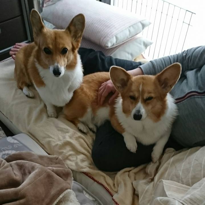 27008151 6740 4874 8f34 b79b103cf6e0 1544327180294