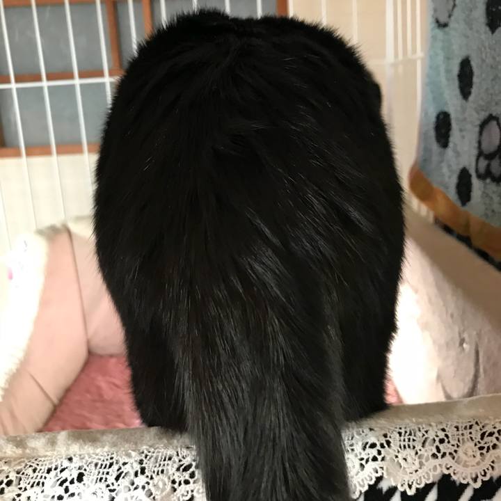 27009c30 f416 4593 9dbb cae143ec8622 1517794900974