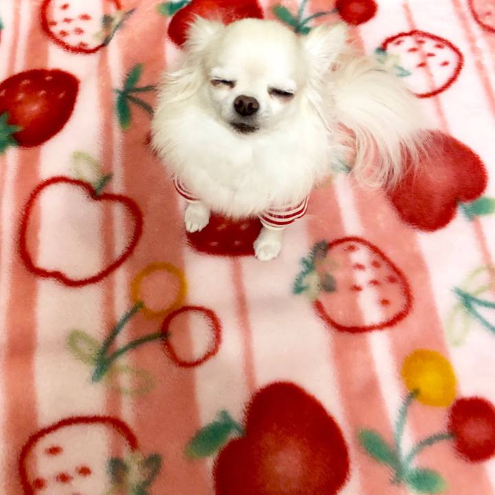 2700a7cd 931c 44b6 8fb2 73cb27513c63 1546051252422