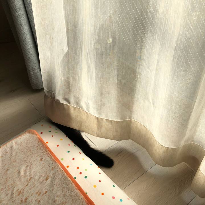 2700bb4b dc79 41db b7c5 52a7ab61d439 1507679893970