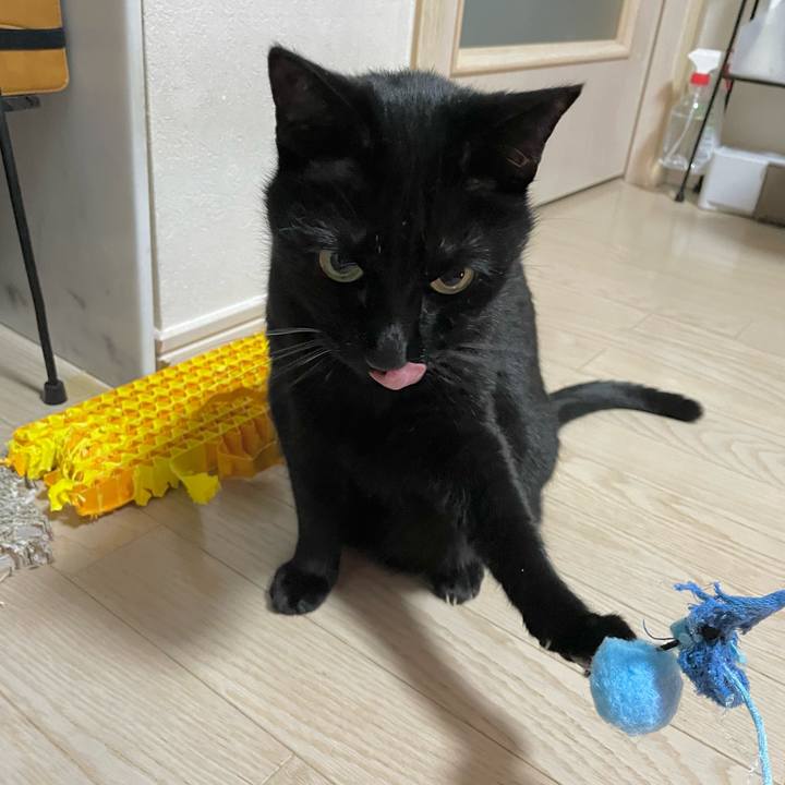 270122b3 e660 4d46 b547 90d4ca487685 1739363260342