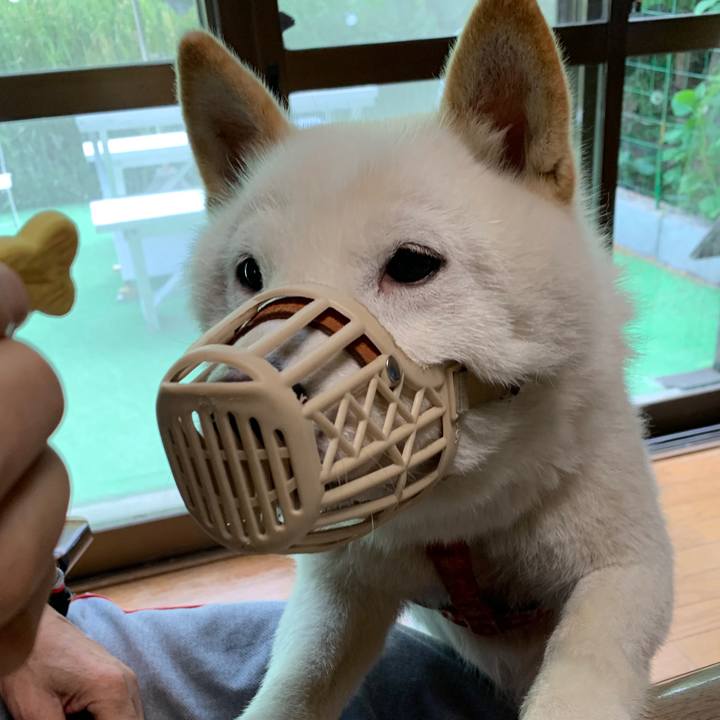 270136ee ccc3 4154 80dc 5aa9dac63a98 1561270238310