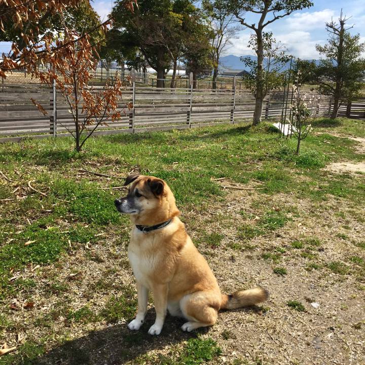 27014c98 3288 4e84 9309 d92ed8b47e99 1521353145946