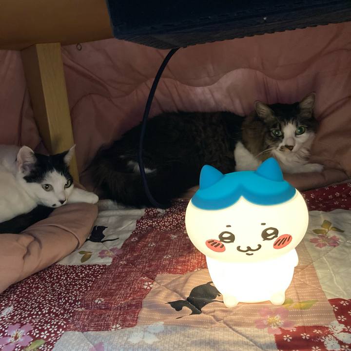 27017c2a 73cf 44c3 89c7 80cffe78692e 1767662942310