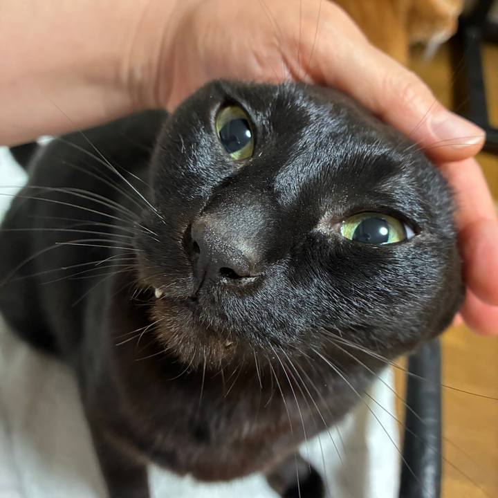 2701ae1e cee6 4d98 a510 e73f37b832b2 1774964614527