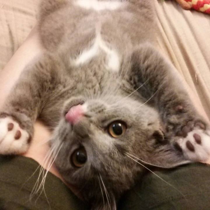 2701c03f 32c7 4e2b 9094 aef9d52c01fe 1533436878245