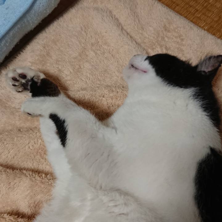 270204a5 4271 4492 a715 19a0055dadbd 1537328019954