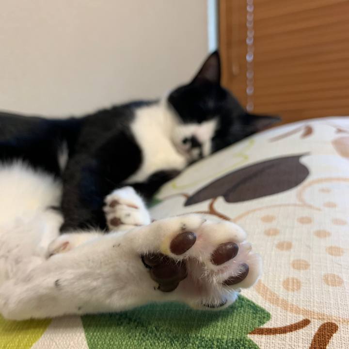 2702087c 56fc 4390 b5cc 946c1dd7f4bd 1558358959254