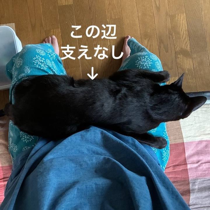 27023e6a 44d9 46a8 a1e7 b03d39d55443 1750585017169